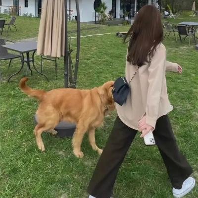 地球之盐